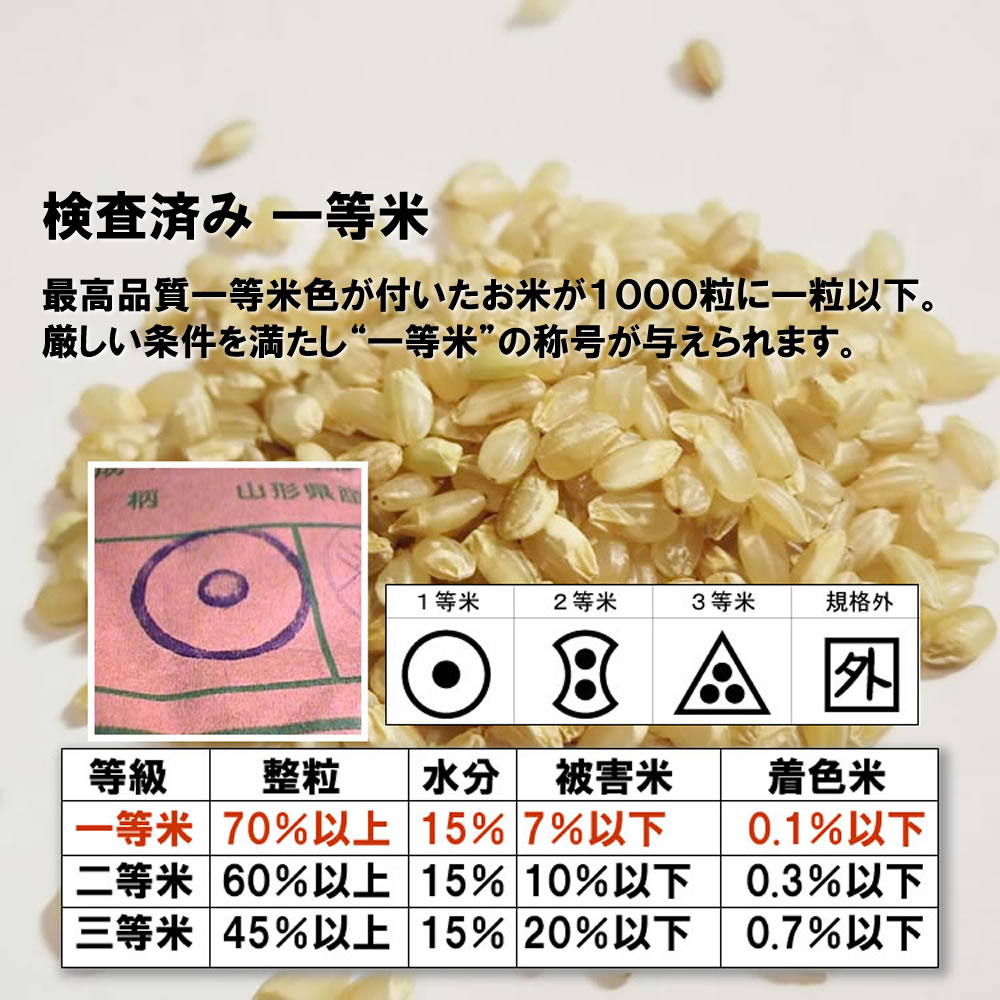 精選 玄米
